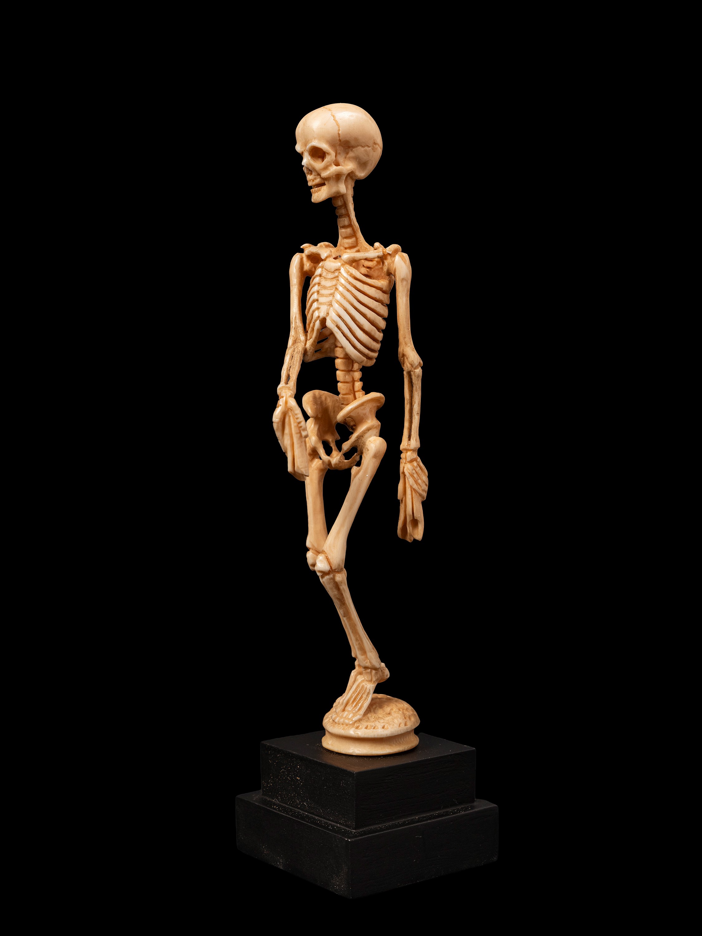 Memento mori, raffigurazione con scheletro, Germania, XIX secolo