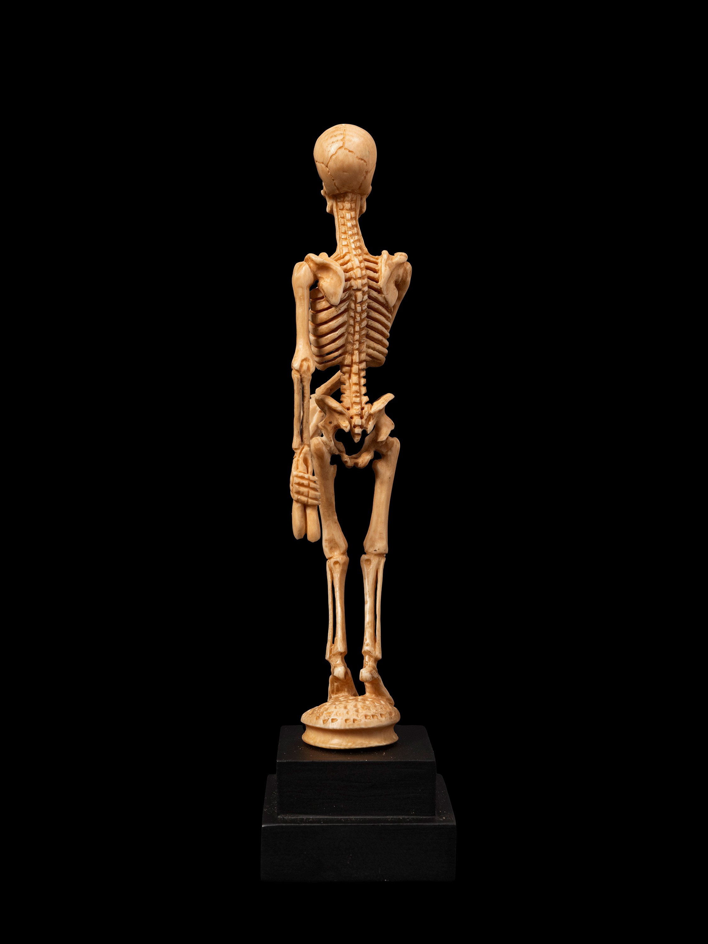 Memento mori, raffigurazione con scheletro, Germania, XIX secolo