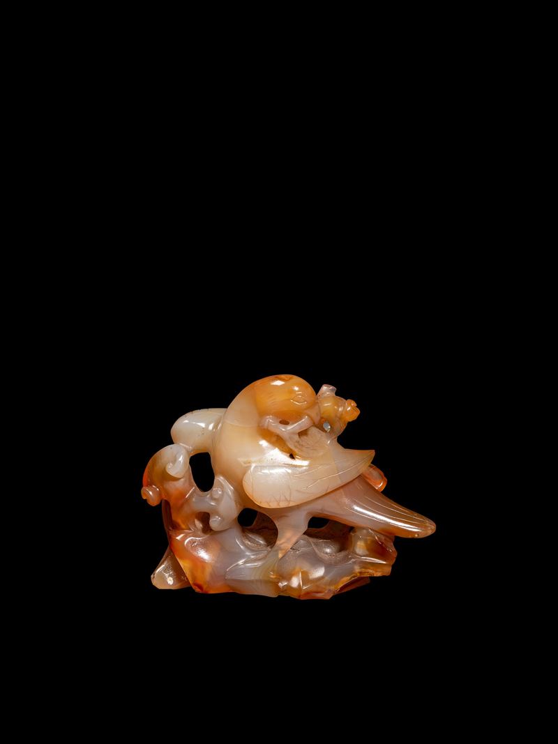 FIGURA IN AGATA
