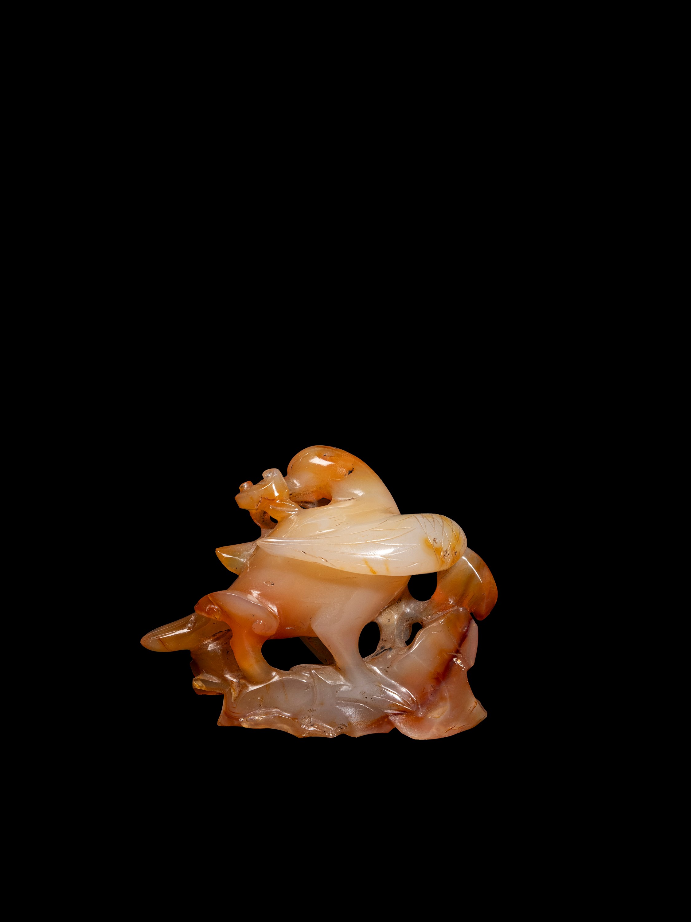 FIGURA IN AGATA