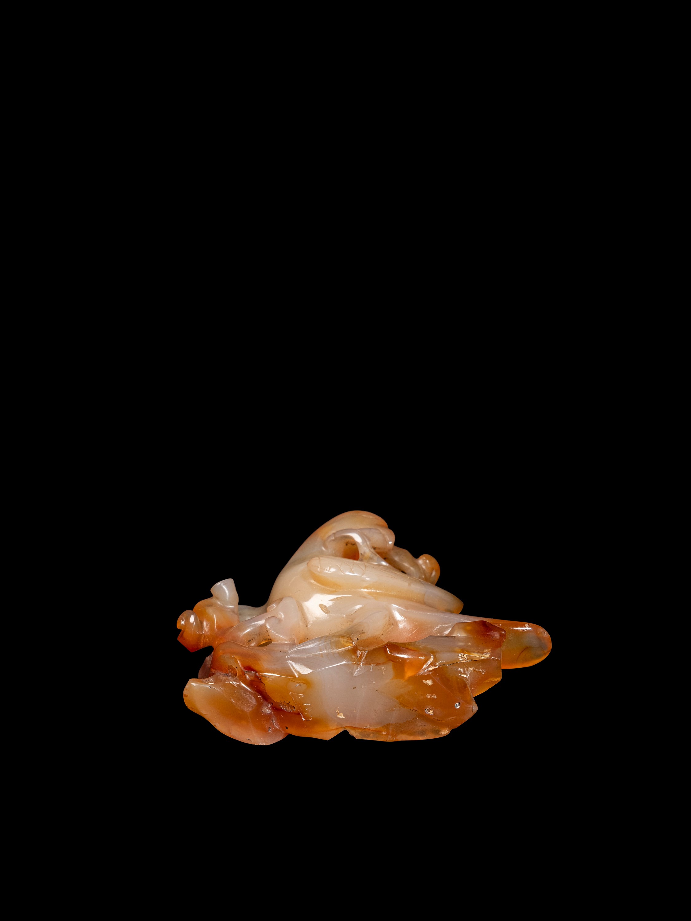 FIGURA IN AGATA