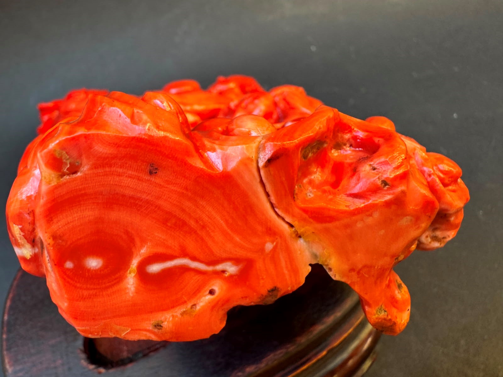 ☼SCULTURA IN CORALLO ROSSO