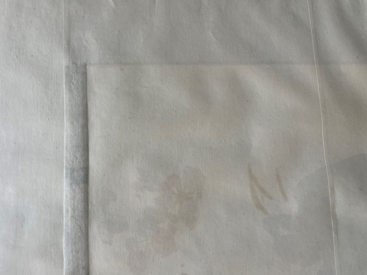 Qi Baishi, Dipinto su carta con uccello e fiori rossi, inchiostro su carta